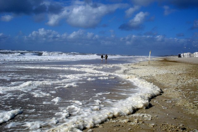 268_immersi nelloceano_tema libero